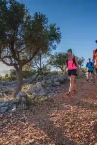 Četvero planinara s ruksacima hoda kamenitom stazom među maslinama i suhozidima.